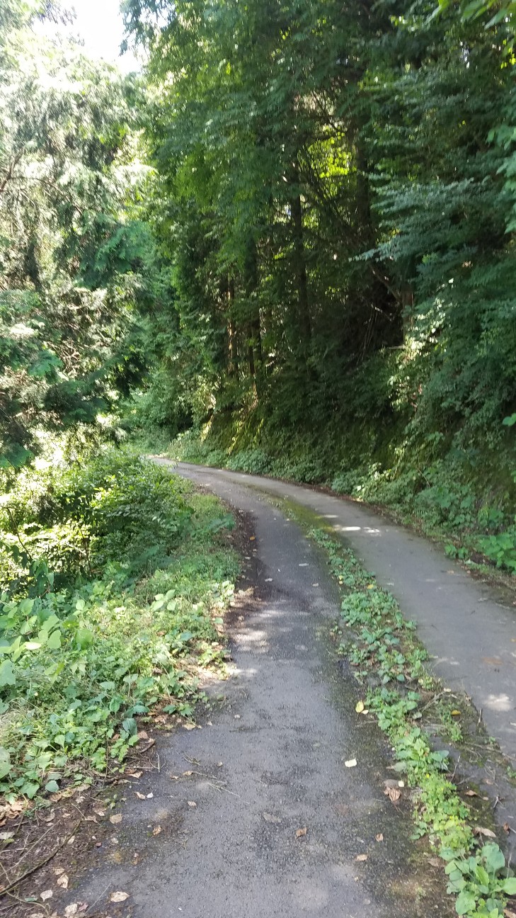 f:id:henlo:20190712224030j:image