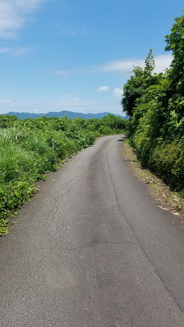 f:id:henlo:20190712224134j:image