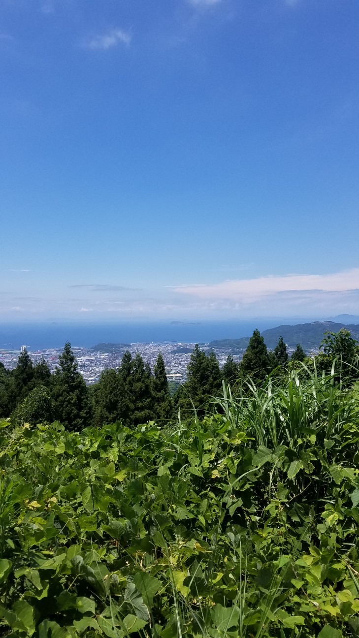 f:id:henlo:20190712224210j:image