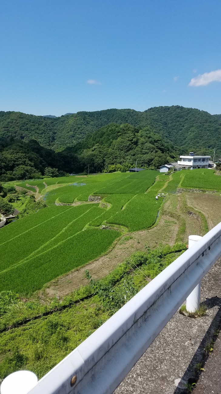 f:id:henlo:20190712224802j:image