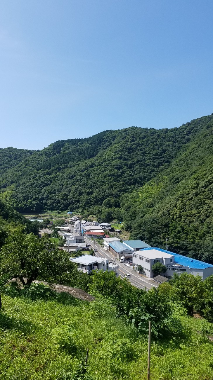 f:id:henlo:20190712224936j:image