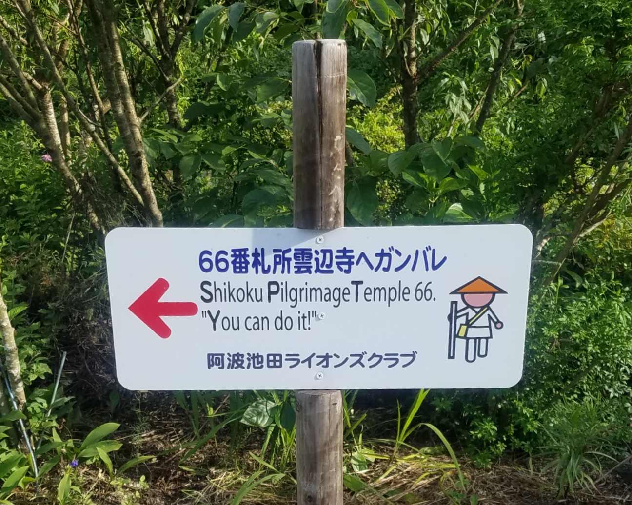 f:id:henlo:20190712230043j:image