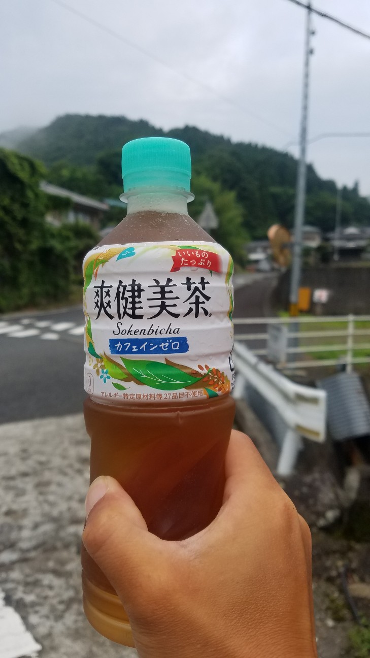 f:id:henlo:20190713212825j:image