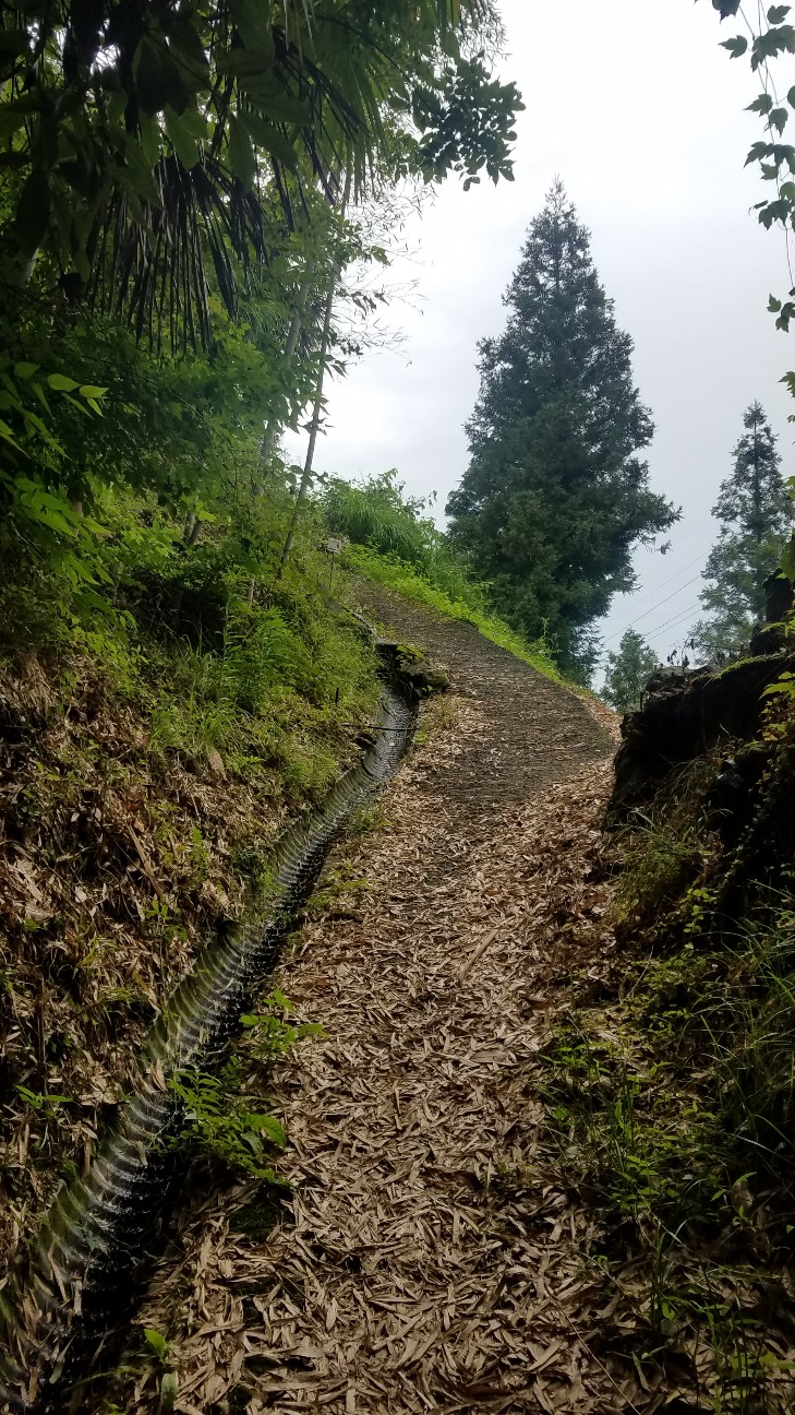 f:id:henlo:20190713213633j:image