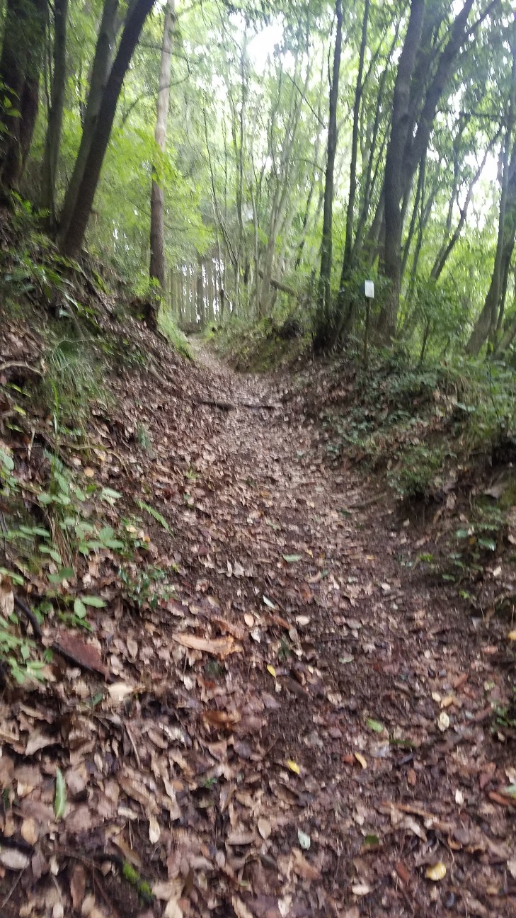 f:id:henlo:20190713214151j:image