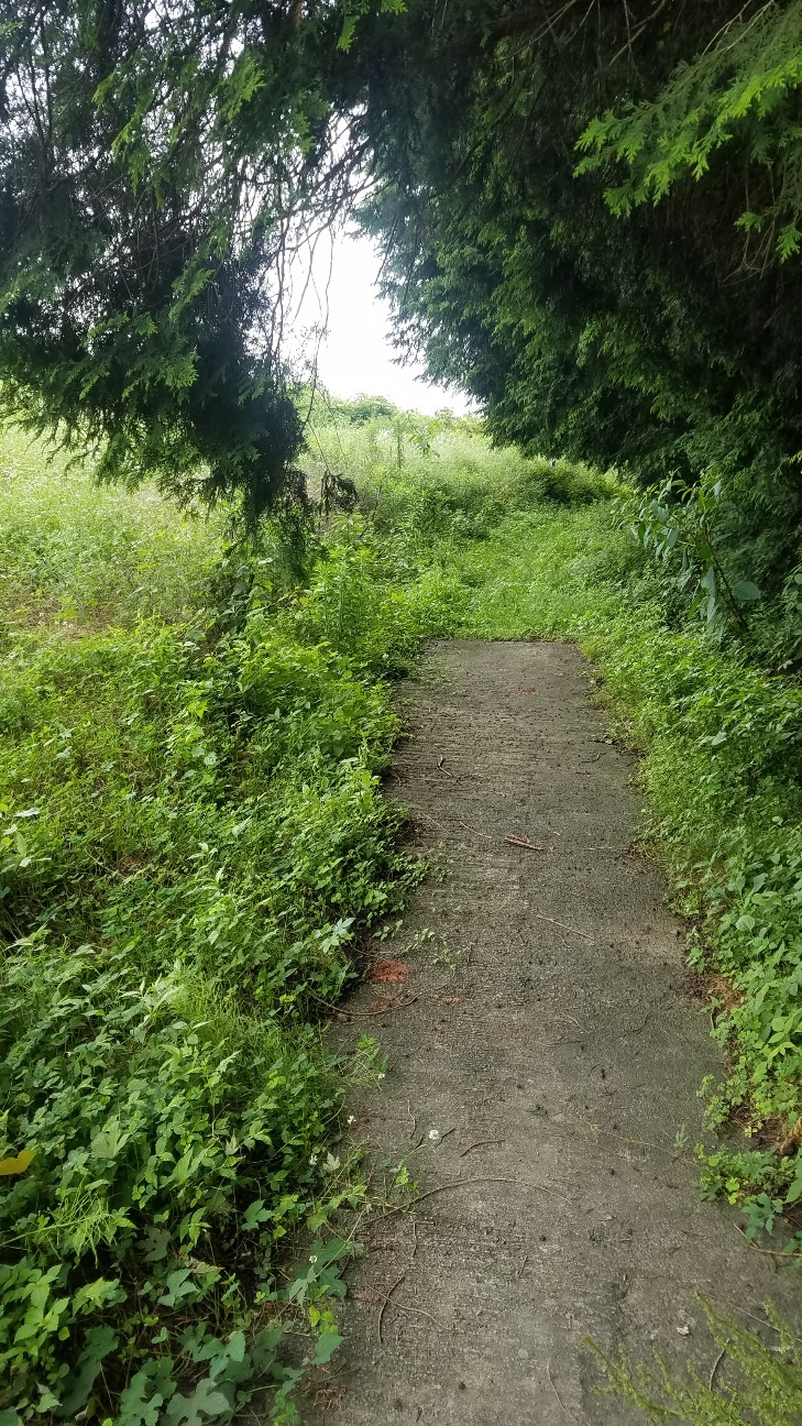 f:id:henlo:20190713215635j:image