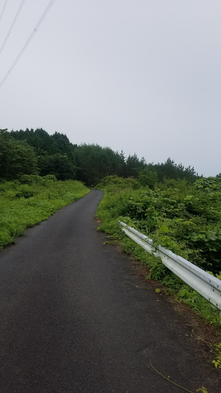 f:id:henlo:20190713215932j:image