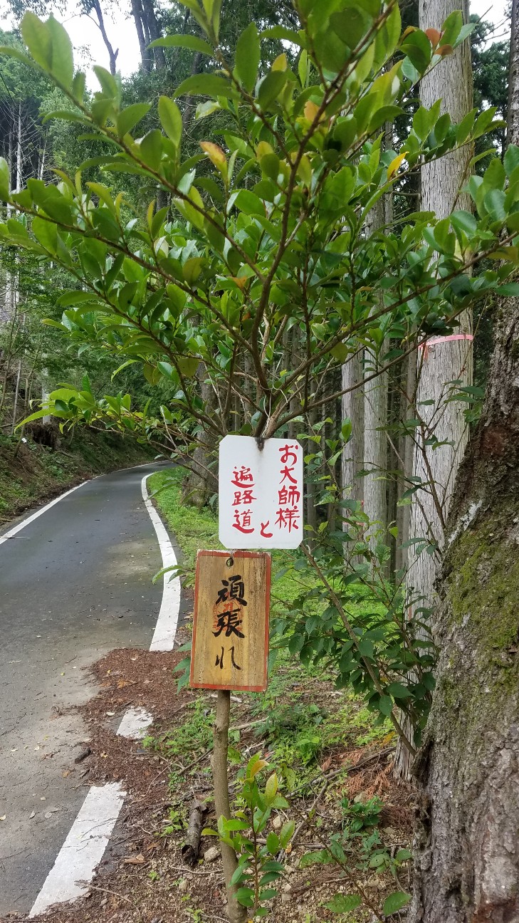 f:id:henlo:20190713220150j:image