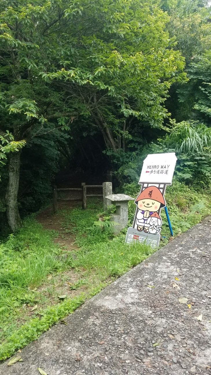 f:id:henlo:20190713221007j:image