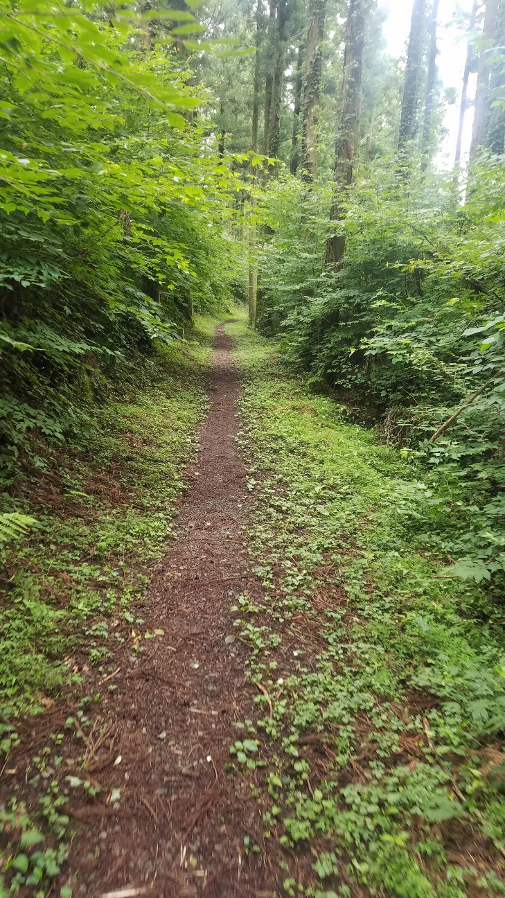 f:id:henlo:20190713221106j:image