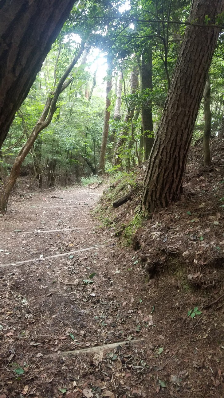 f:id:henlo:20190713221305j:image