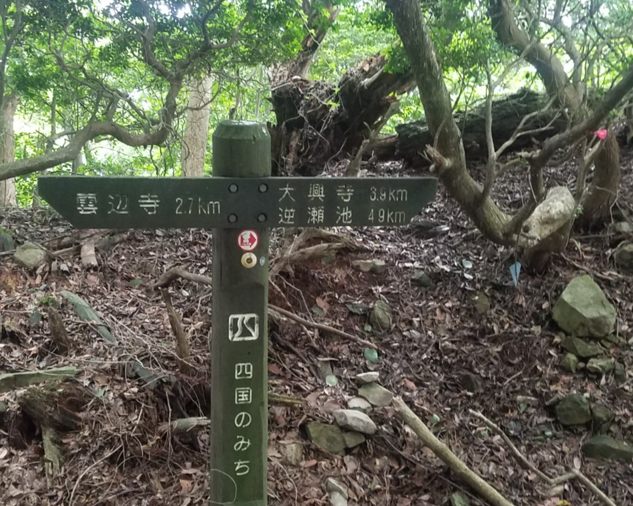 f:id:henlo:20190713221340j:image