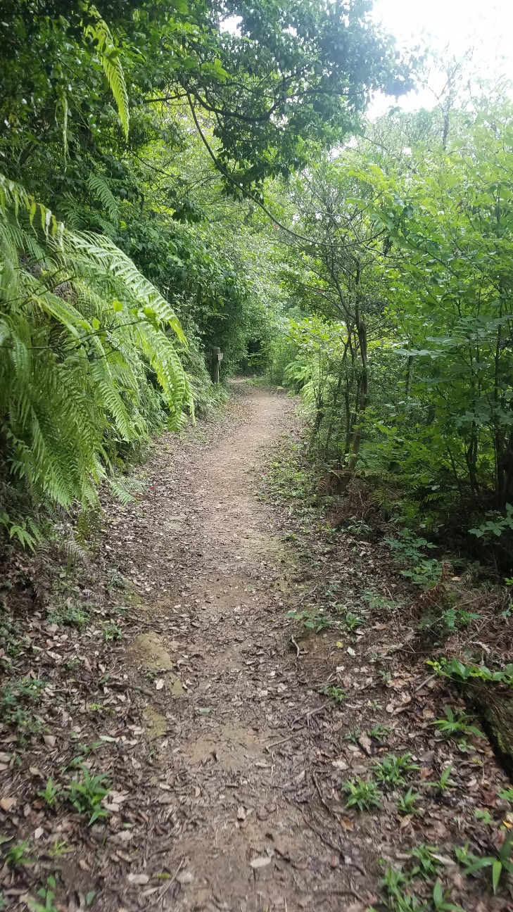 f:id:henlo:20190713221630j:image