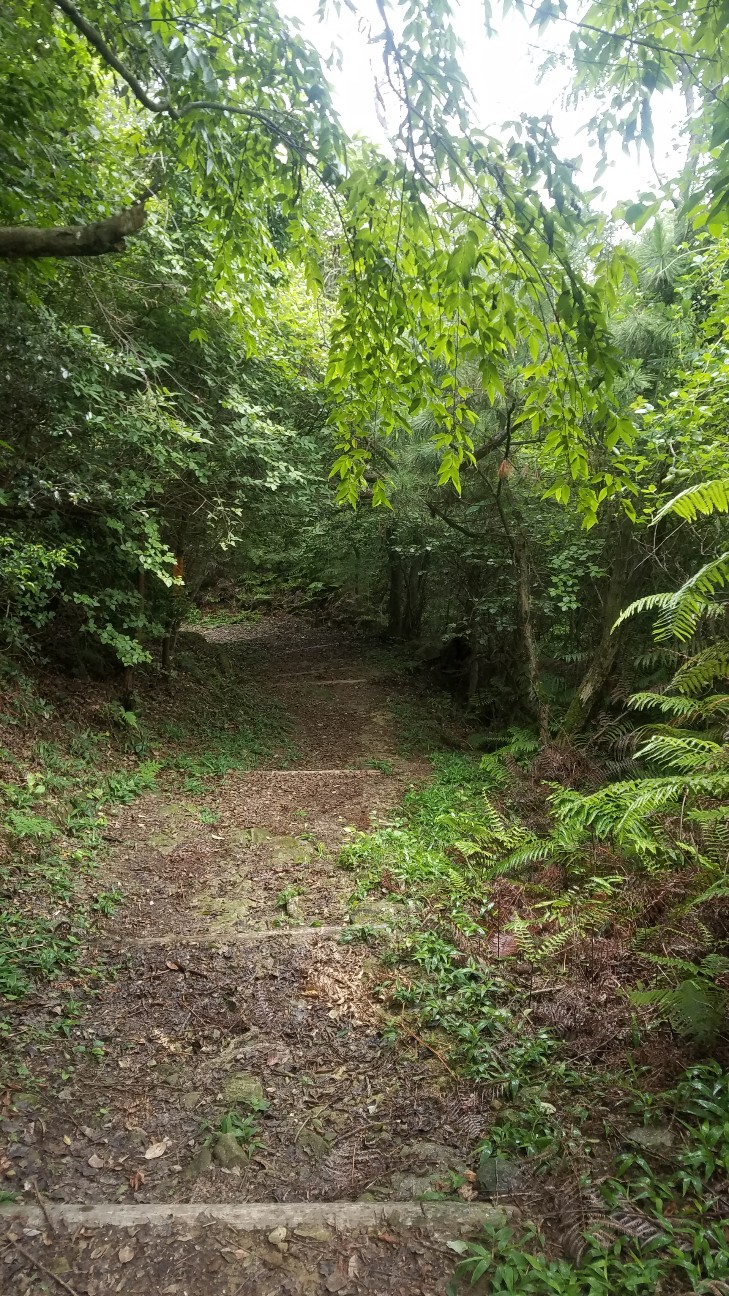 f:id:henlo:20190713221653j:image