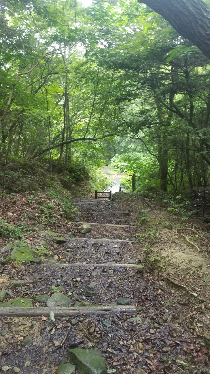 f:id:henlo:20190713221752j:image