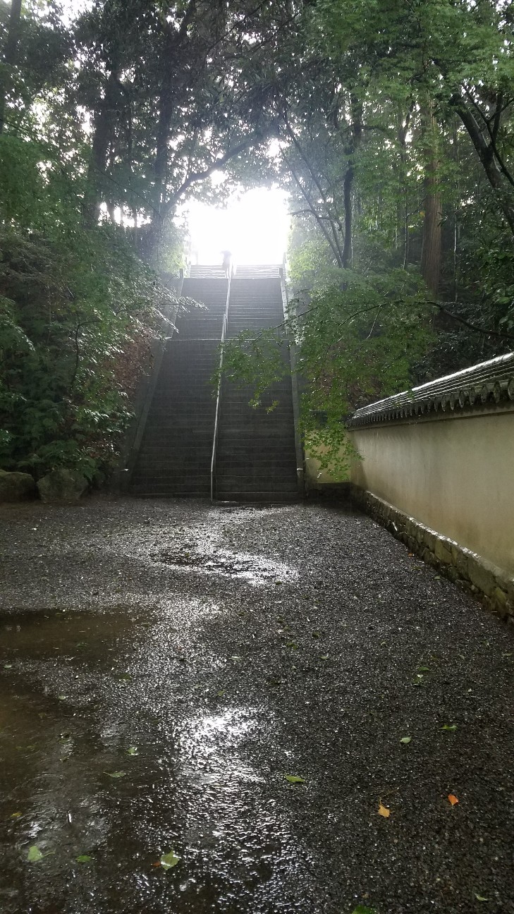 f:id:henlo:20190713222453j:image