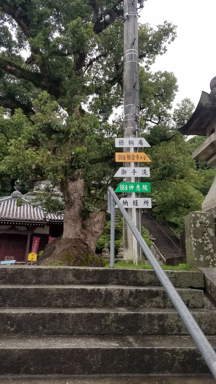f:id:henlo:20190713223612j:image