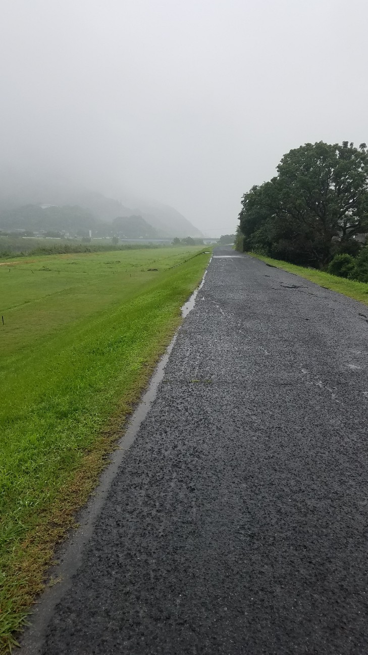f:id:henlo:20190714224334j:image