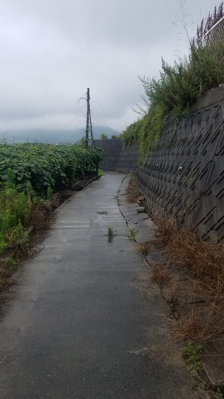 f:id:henlo:20190714225657j:image