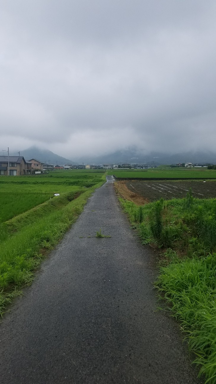 f:id:henlo:20190714225728j:image