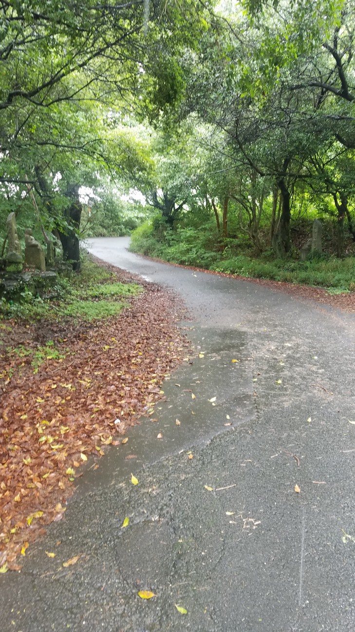 f:id:henlo:20190714230020j:image