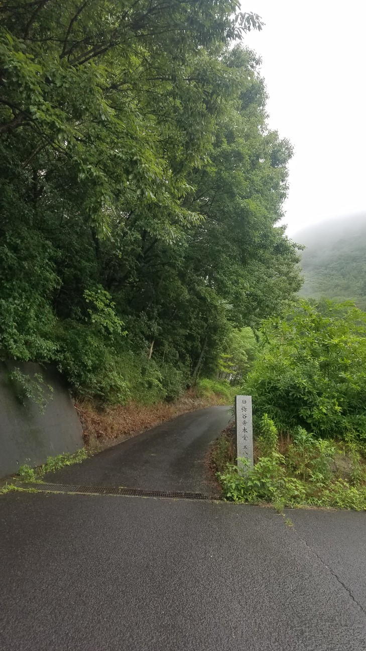 f:id:henlo:20190714230110j:image