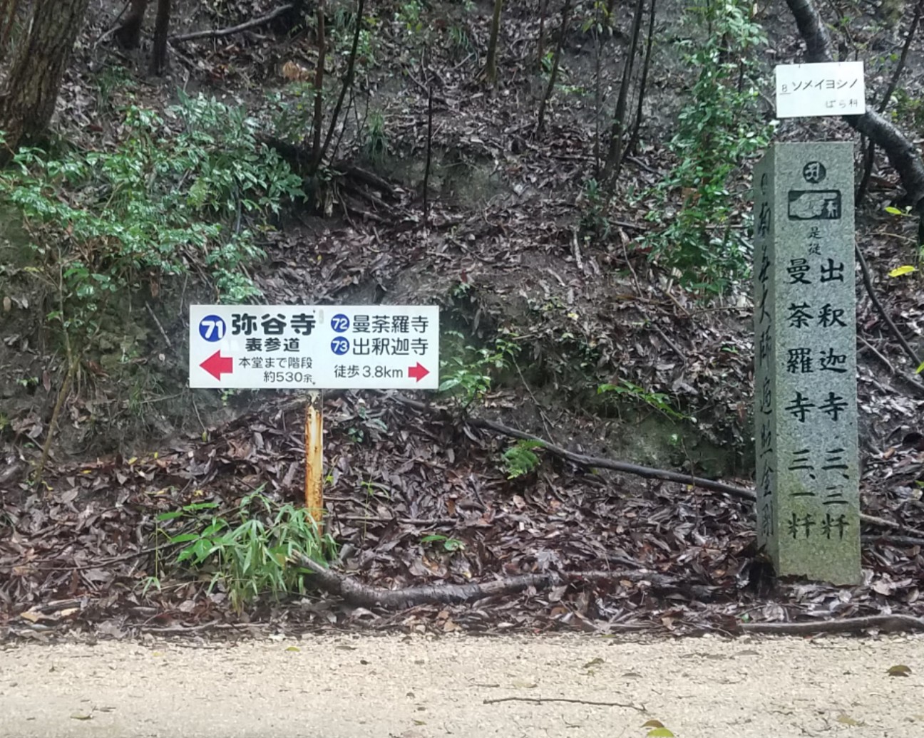 f:id:henlo:20190714230205j:image