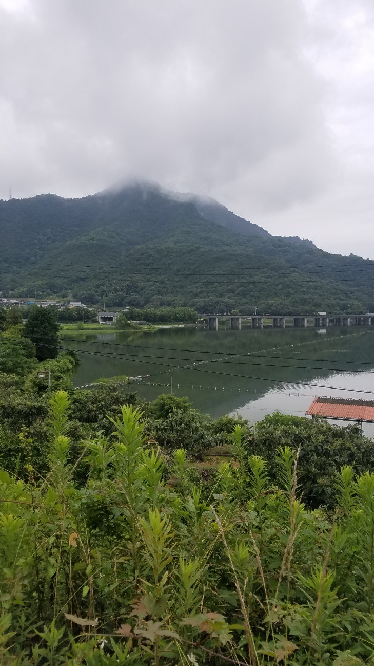 f:id:henlo:20190714231414j:image