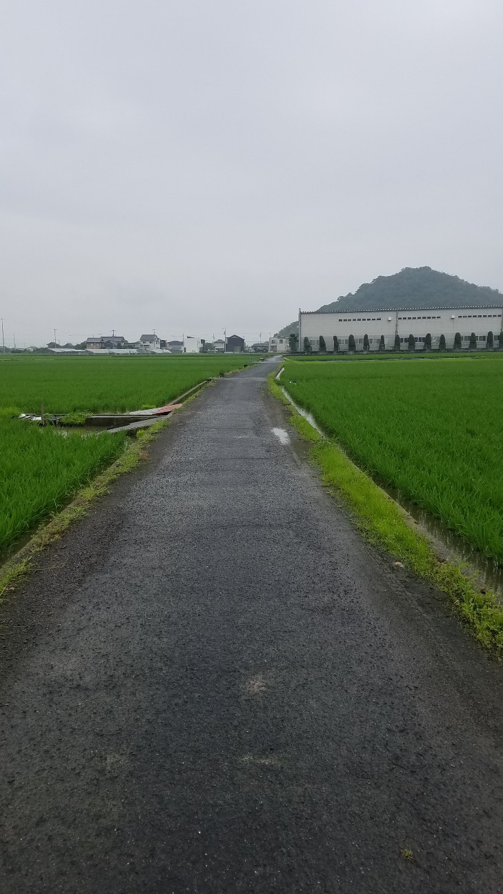 f:id:henlo:20190714232607j:image