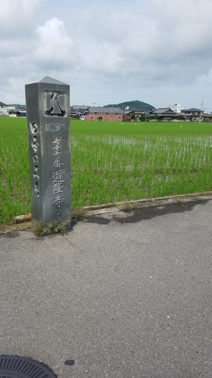 f:id:henlo:20190715212024j:image