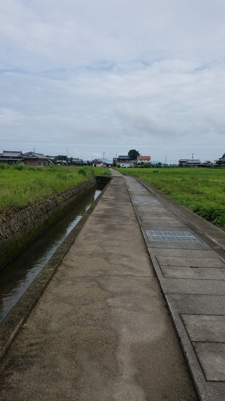 f:id:henlo:20190715212240j:image