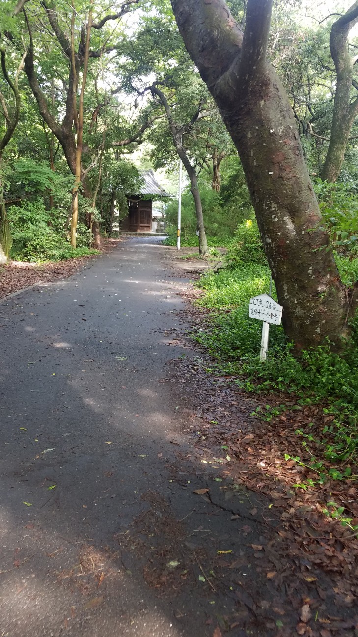 f:id:henlo:20190715212324j:image