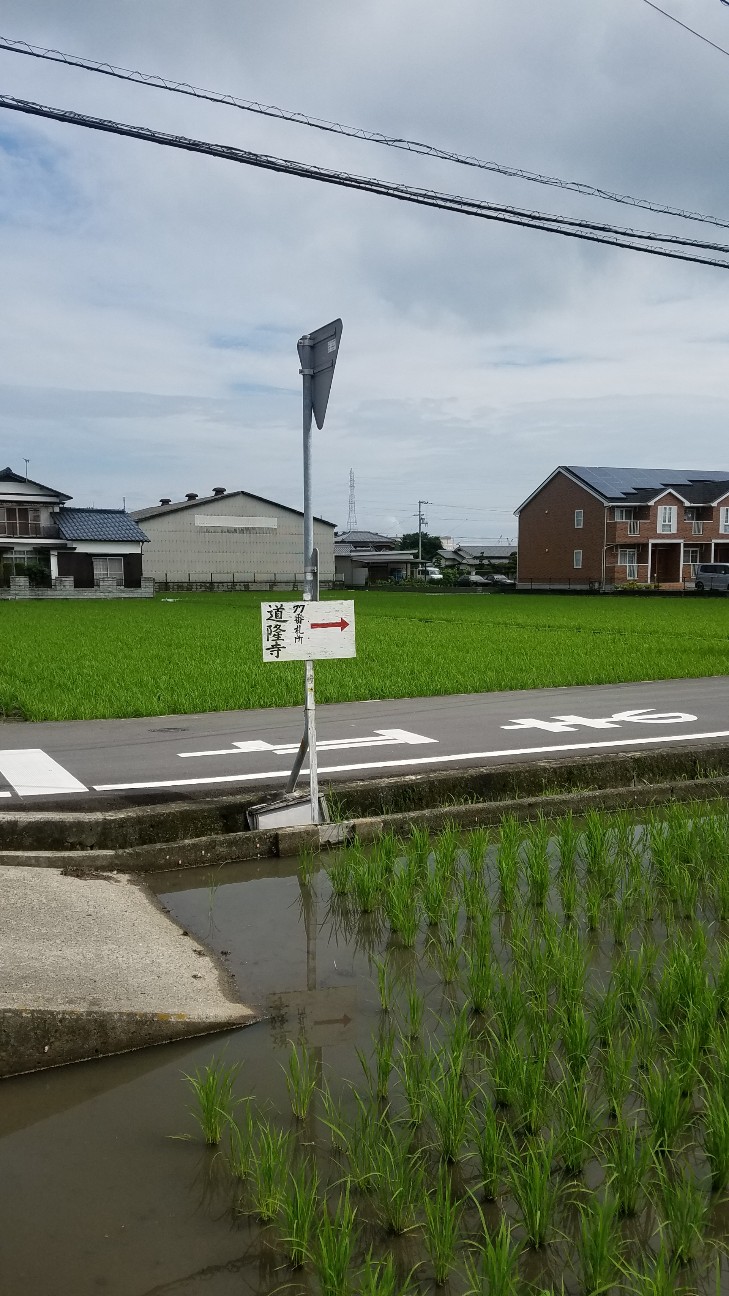 f:id:henlo:20190715212508j:image