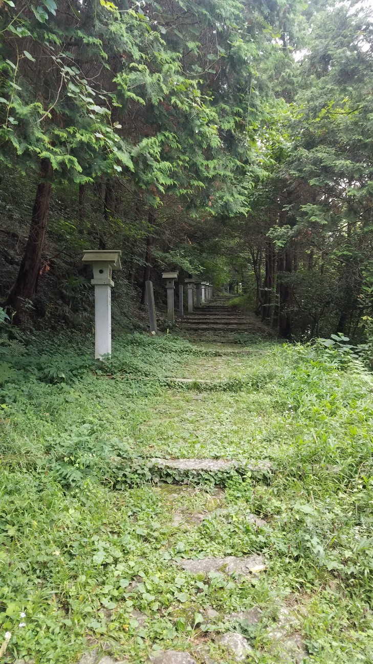 f:id:henlo:20190715221748j:image