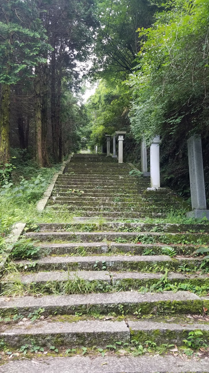 f:id:henlo:20190715221813j:image