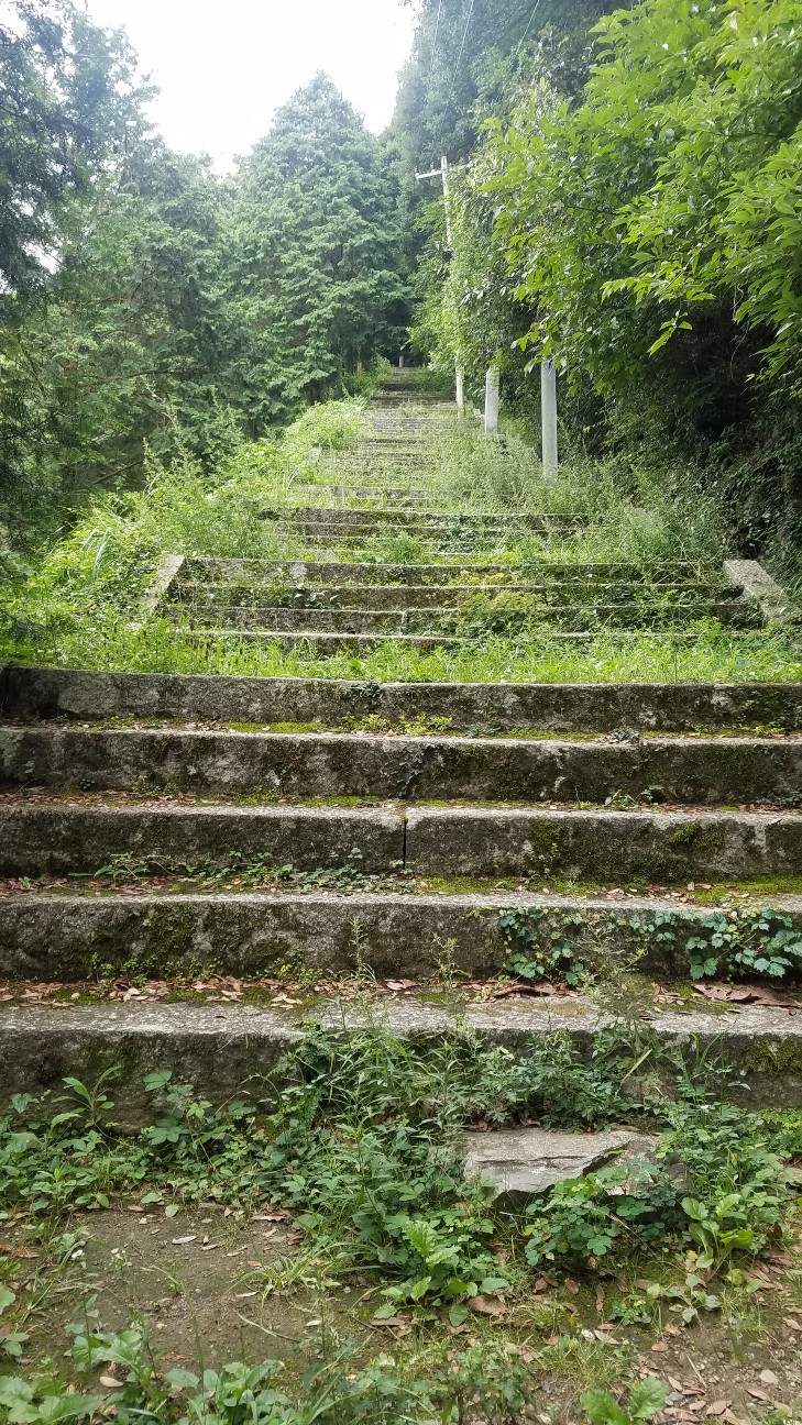 f:id:henlo:20190715221847j:image