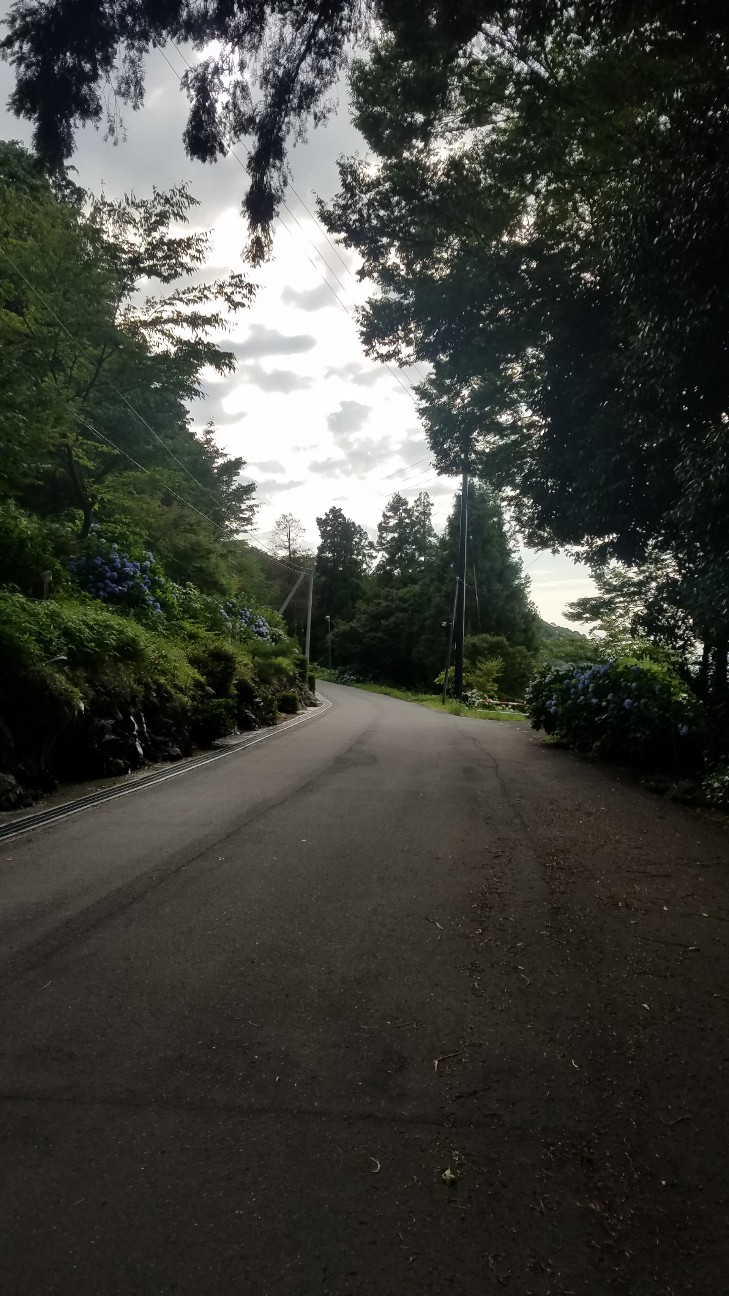 f:id:henlo:20190715222241j:image