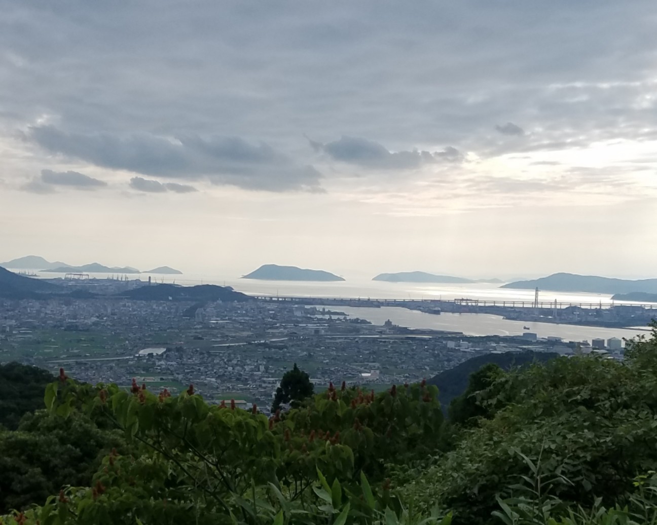 f:id:henlo:20190715222333j:image