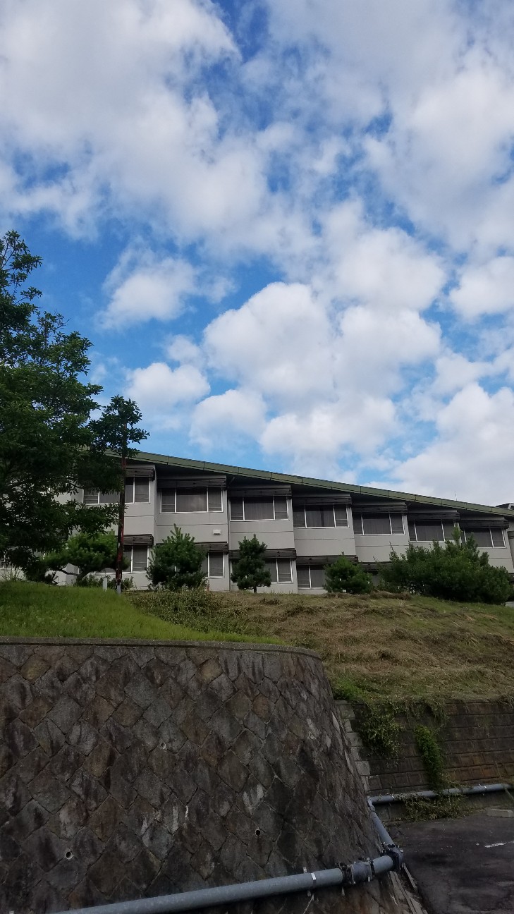 f:id:henlo:20190715222356j:image