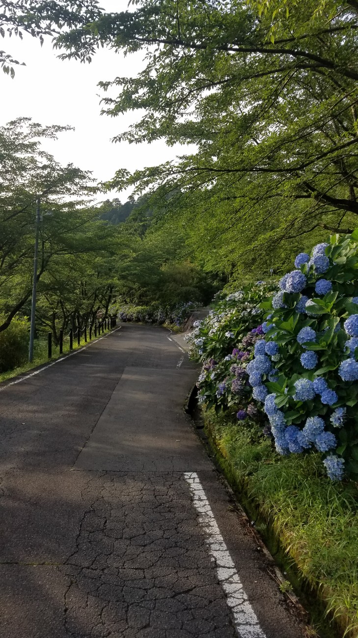 f:id:henlo:20190716233355j:image