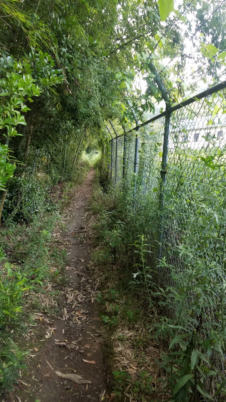 f:id:henlo:20190716235215j:image