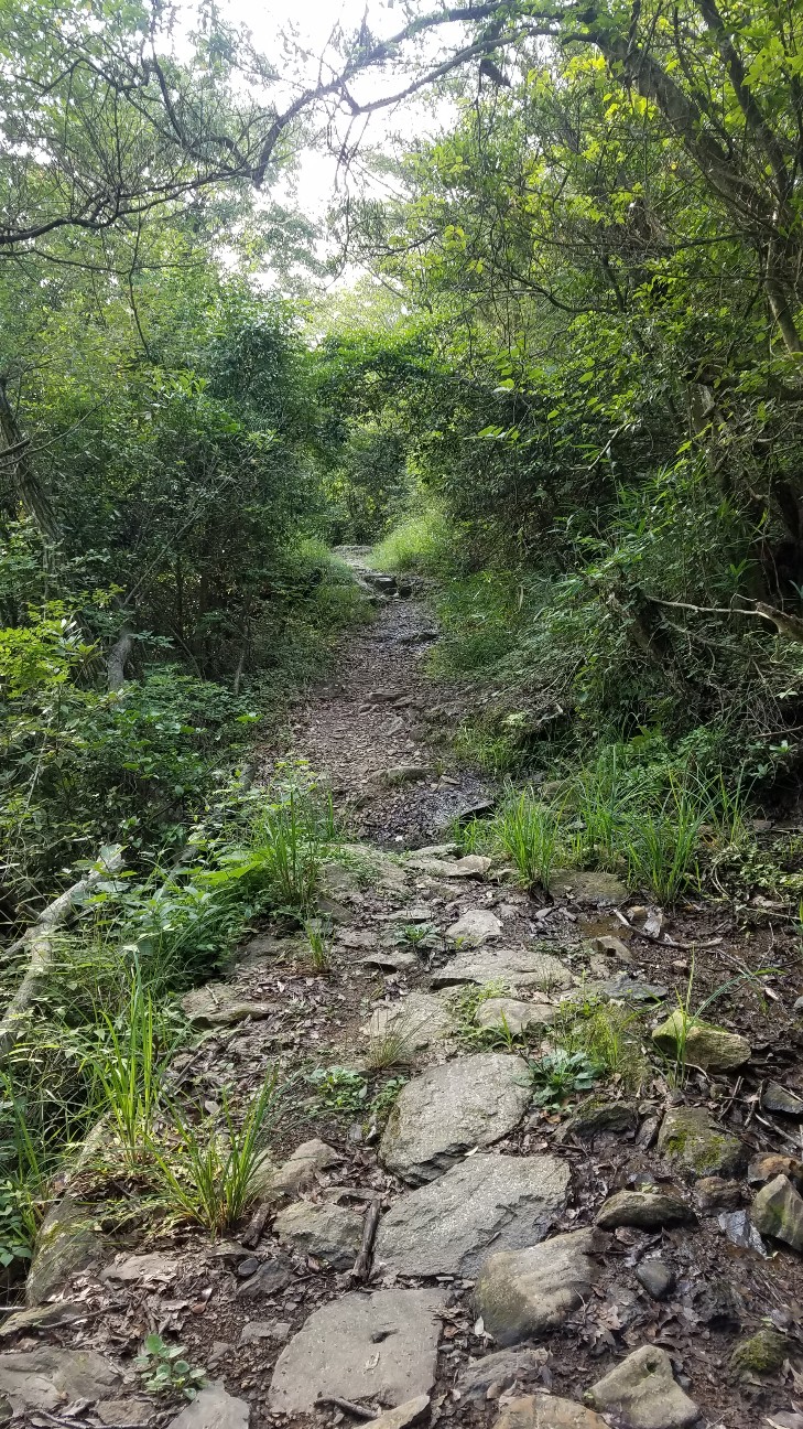 f:id:henlo:20190716235827j:image