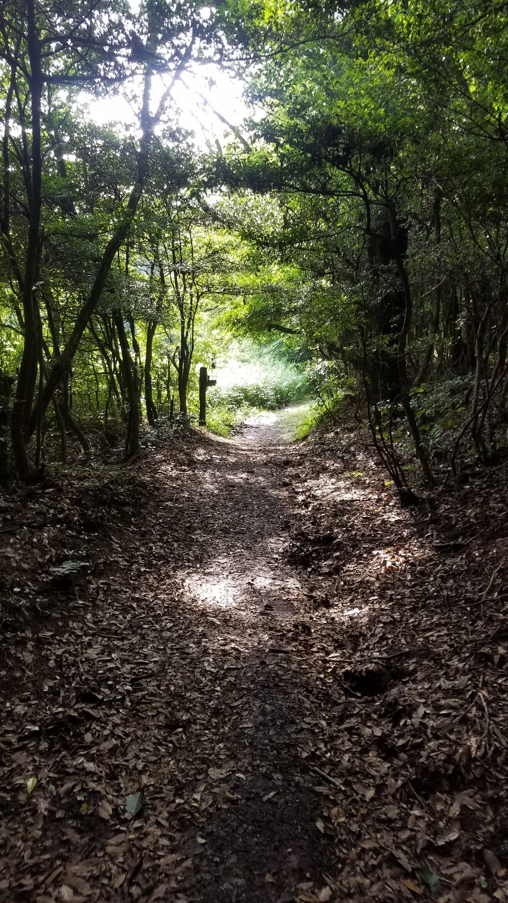 f:id:henlo:20190717000230j:image