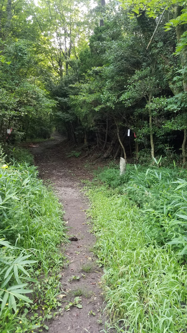 f:id:henlo:20190717000310j:image