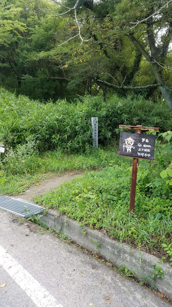 f:id:henlo:20190717000642j:image