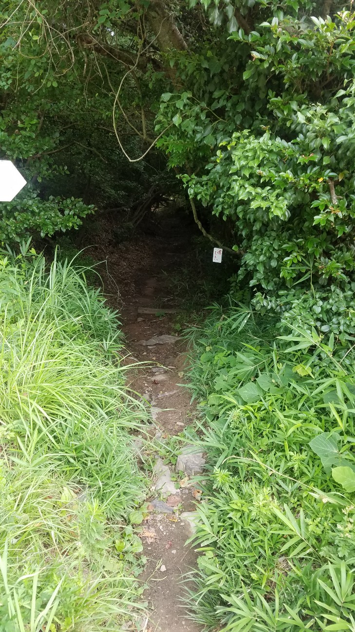 f:id:henlo:20190717000758j:image