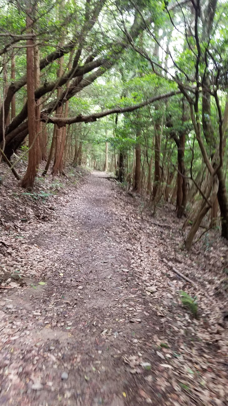 f:id:henlo:20190717002019j:image