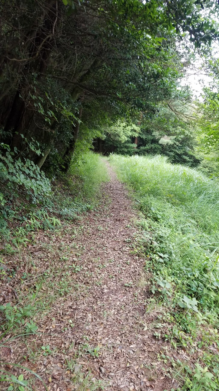 f:id:henlo:20190717002145j:image