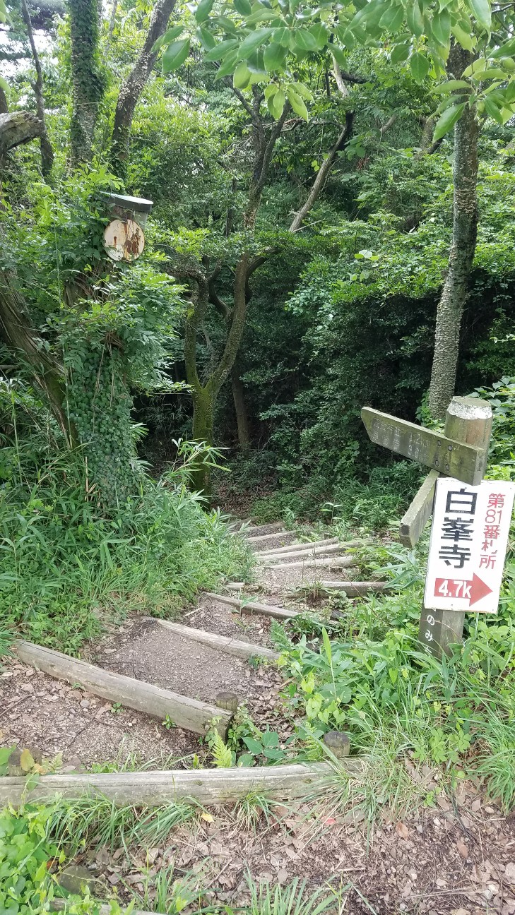 f:id:henlo:20190717002332j:image