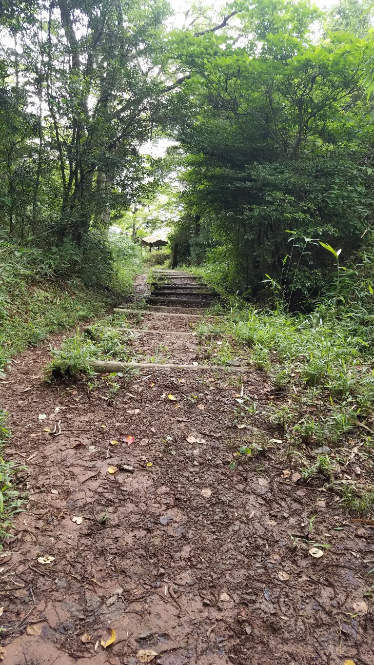 f:id:henlo:20190717002411j:image
